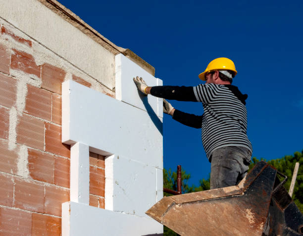 Best Insulation Replacement Services  in Terville, WA