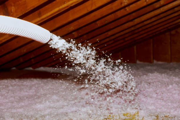 Best Local Insulation Services  in Terville, WA