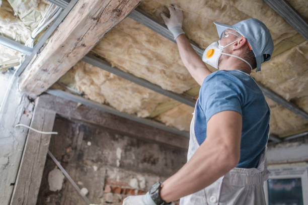 Best Spray Foam Insulation  in Terville, WA