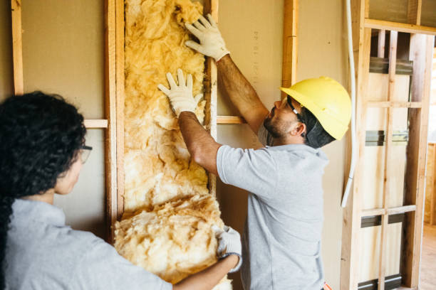 Best Professional Insulation Contractor  in Terville, WA