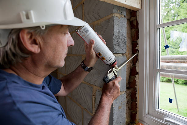 Best Cellulose Insulation  in Terville, WA