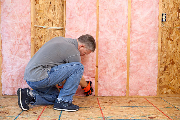 Best Spray Foam Insulation  in Terville, WA