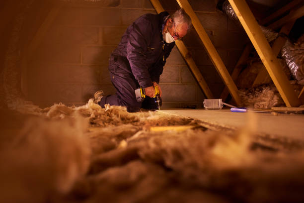 Best Wall Insulation Contractor  in Terville, WA